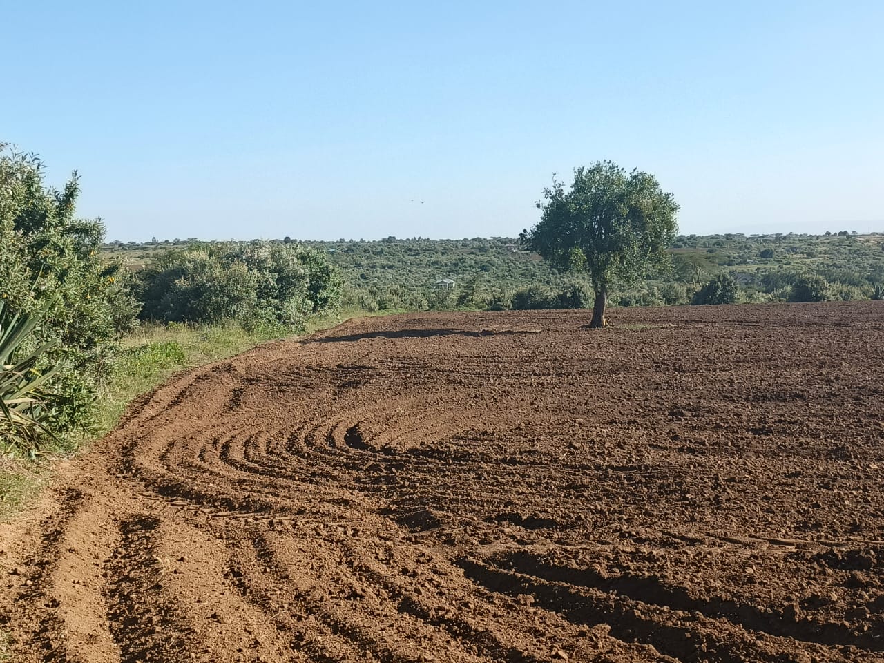 land for sale Narok – Kichinjio flat land farming subdivision